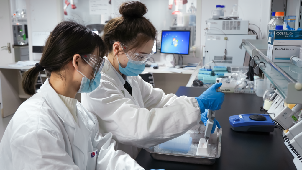 Two researchers working on a lab task together