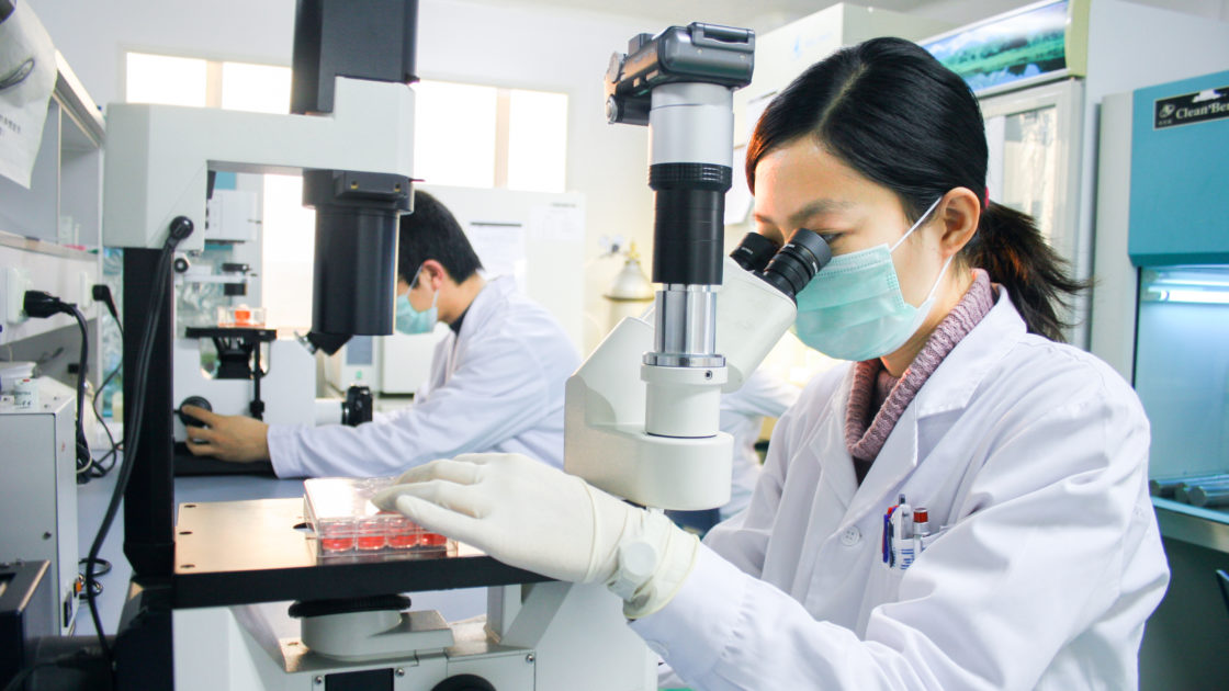 Researchers working in pathology