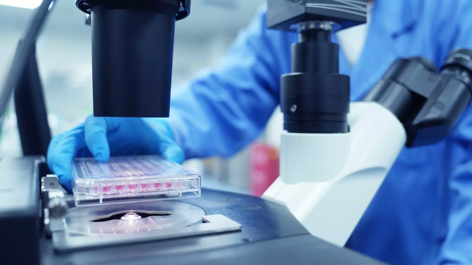 Biologics Laboratory Services | Pharmaron