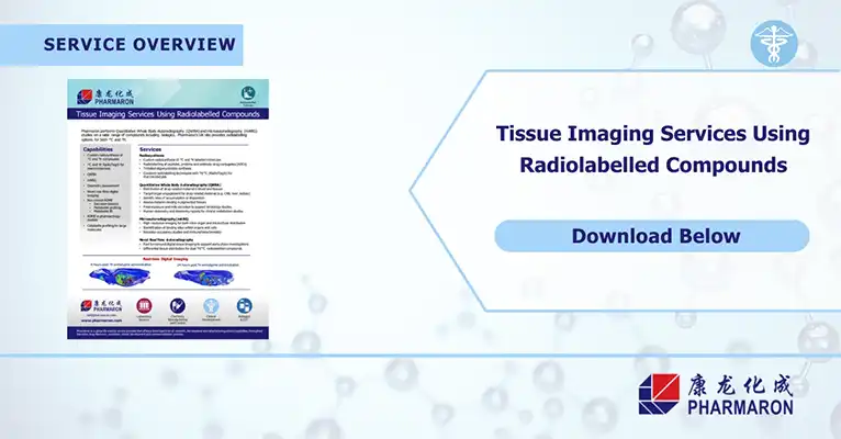 A promotional image for Pharmaron's tissue imaging services using radiolabelled compounds. The left side features a detailed brochure with text and images, highlighting Preclinical ADME studies, while the right side has a download button beneath the title. The background displays a chemical-themed design.