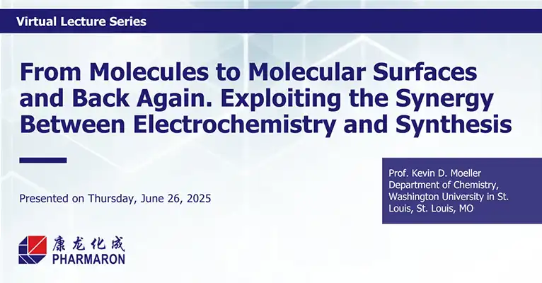 Virtual lecture on From Molecules to Molecular Surfaces and Back Again. Exploiting the Synergy Between Electrochemistry and Synthesis presented in June 2025