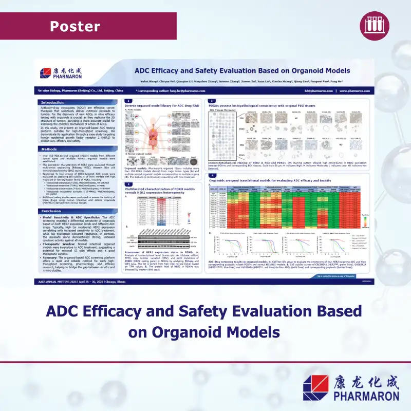 Scientific poster detailing ADC efficacy and safety evaluation using organoid models, with charts and data visuals presented.