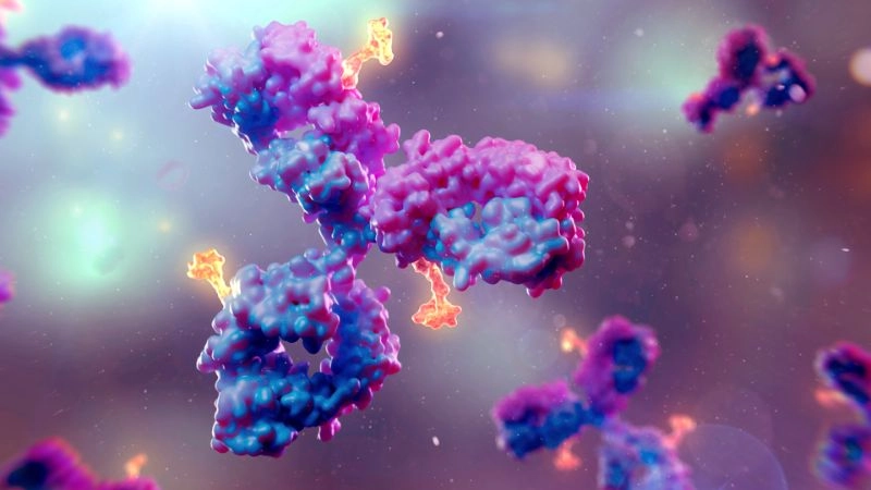 Purple-shaded 3D antibody structure on dark background, representing ADC and bioconjugates used in targeted therapeutic delivery.