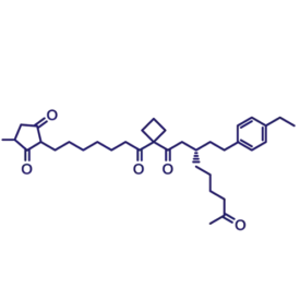 Interlocking chain icon in dark blue and white, symbolizing innovative linker designs for stable and effective drug delivery in ADCs.