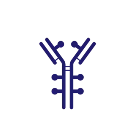 Circular arrow icon in deep blue tones, representing controlled and optimized payload release in targeted drug delivery systems.