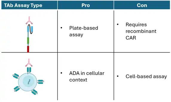 TAb assay types for CAR immunogenicity comparing plate-based and cell-based approaches with illustrated diagrams