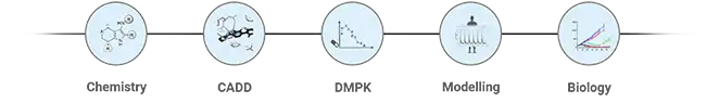 Pharmaron's drug discovery consulting services workflow with five linked icons for chemistry, CADD, DMPK, modelling and biology.