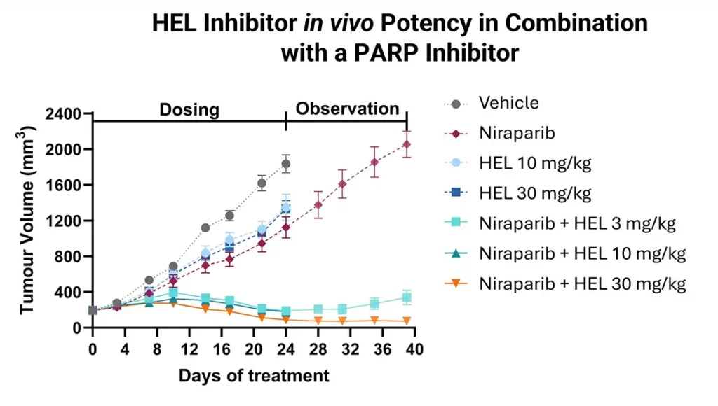 IDD case study on dna damage response pathway against dna polymerase theta