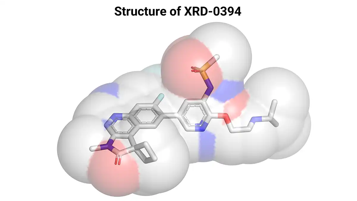 Translucent space-filling surface over a stick model of XRD-0394, a potent dual ATM/DNA-PK inhibitor, with color-coded heteroatoms