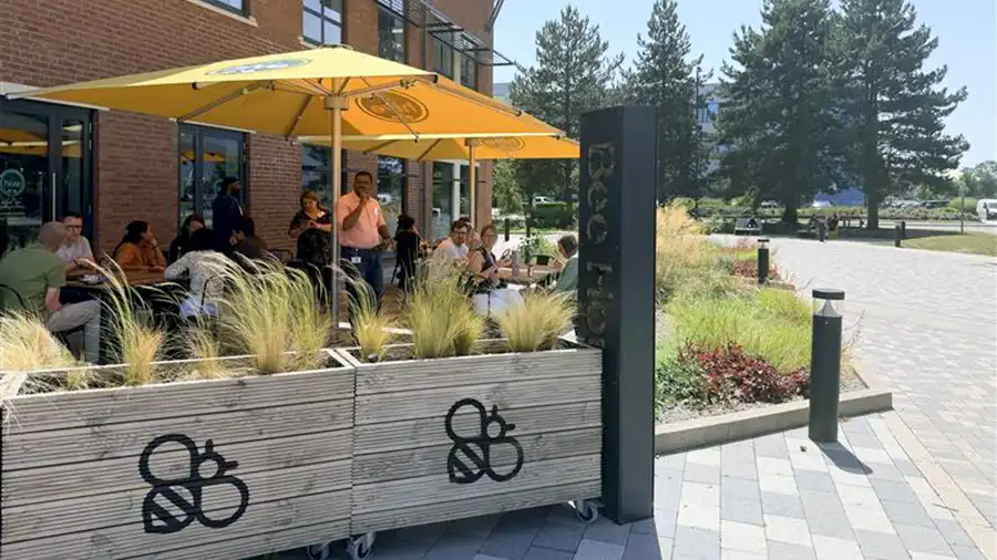 Scientists seated under yellow umbrellas on the Bee House terrace at the 2026 Oxford Lunch and Learn